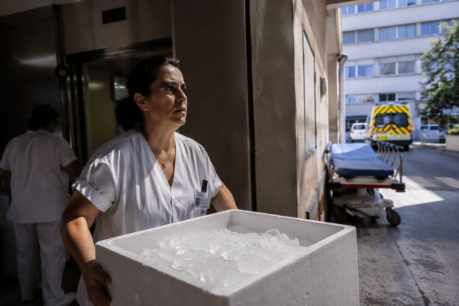 French hospitals brace for deadlier heat waves after record heat stress