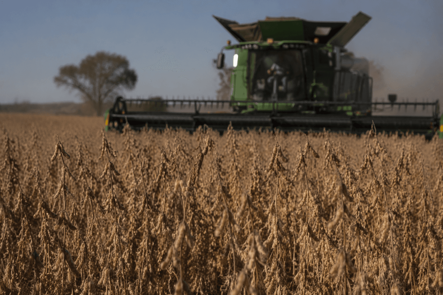 Biodiesel groups urge EU Parliament to reject soy rules
