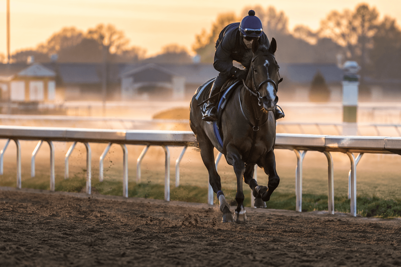 Monomoy Girl's daughter Effusive nears debut after Keeneland work