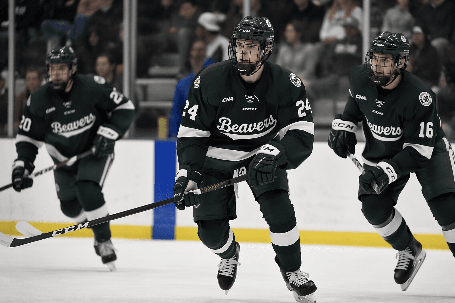 Three Bemidji State hockey players invited to NHL development camps
