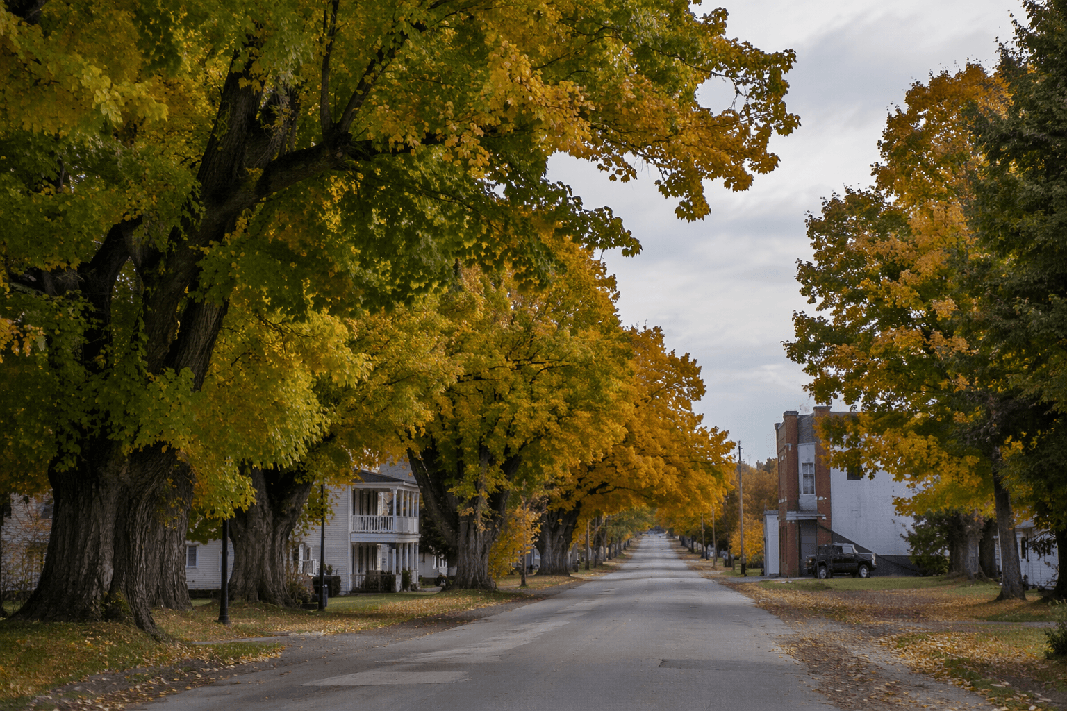 Sugar Tree named for sugar maples that lined its main street