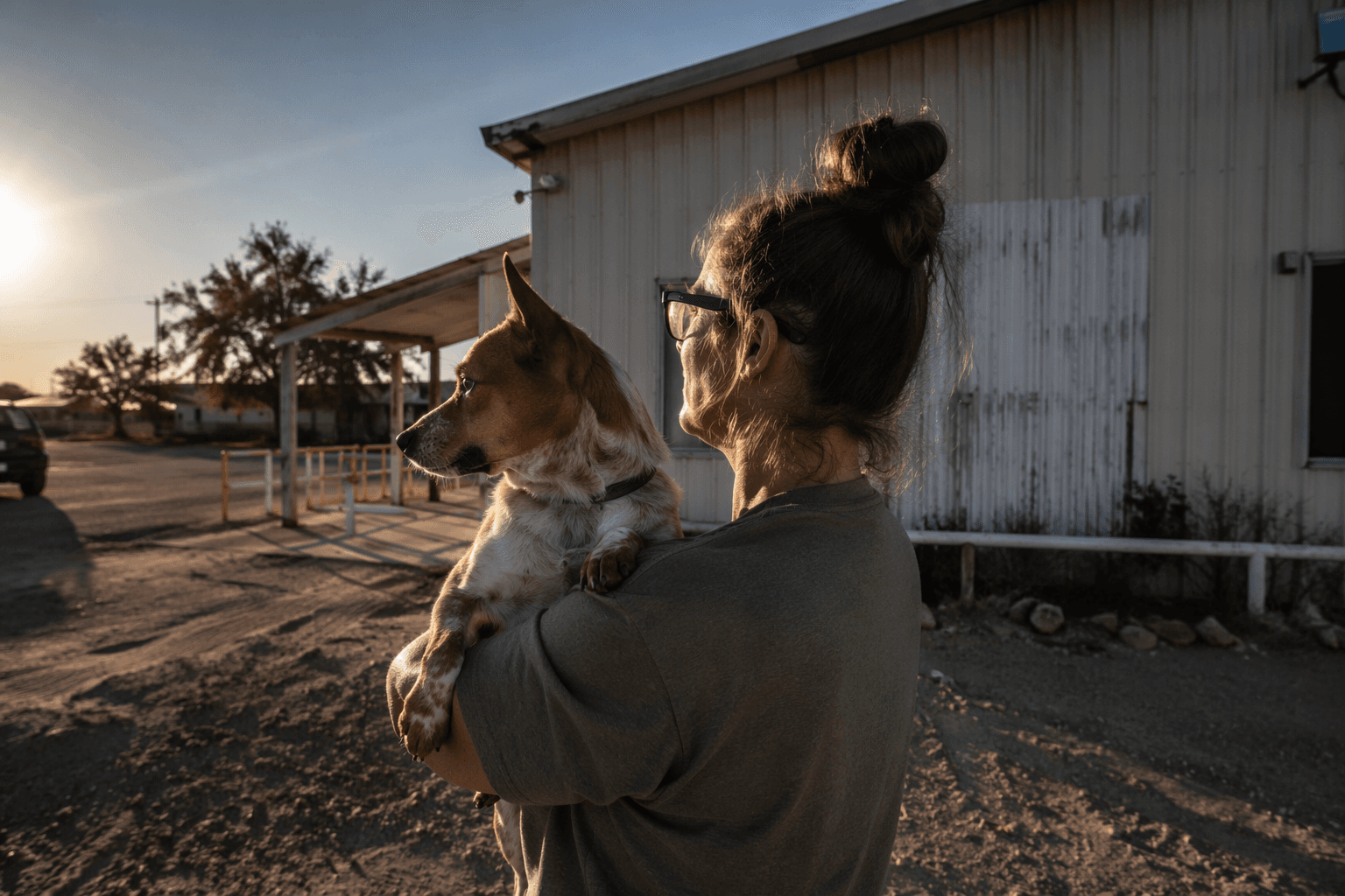 Ironwood Veterinary Clinic closure leaves Yuma County pet owners worried