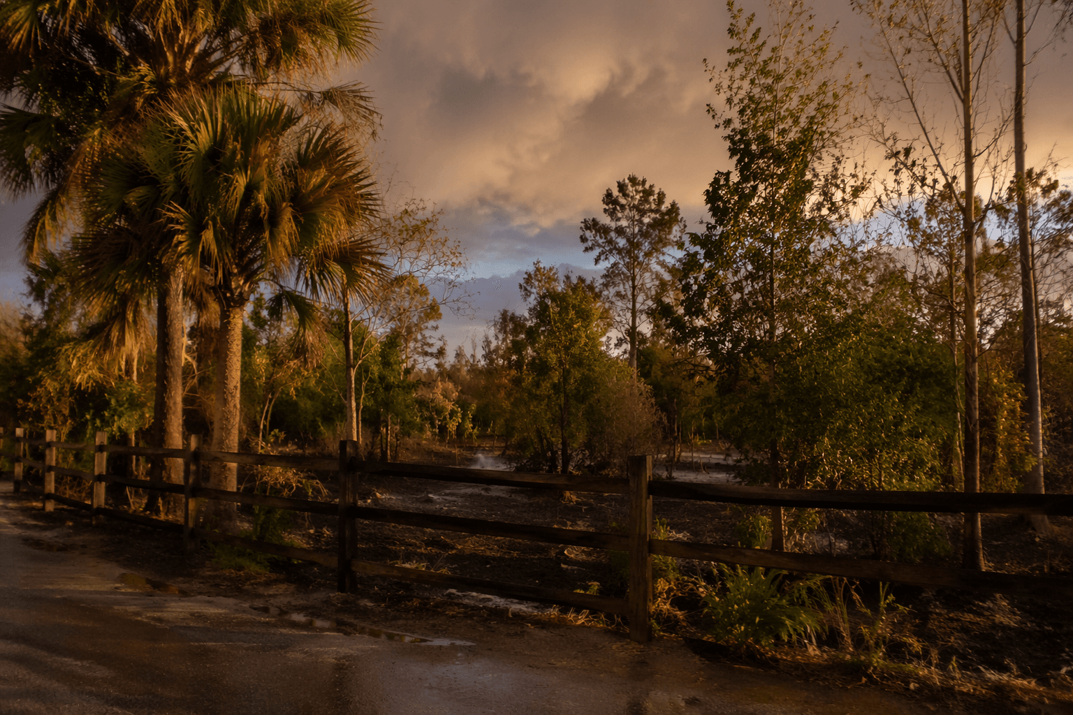 Lightning strike sparks small fire at Sawgrass Recreation Park in Weston