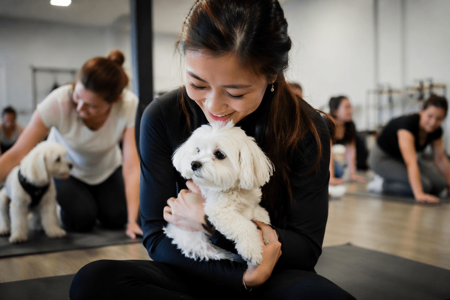 Toronto Maltese puppy yoga pairs beginner poses with cuddle time