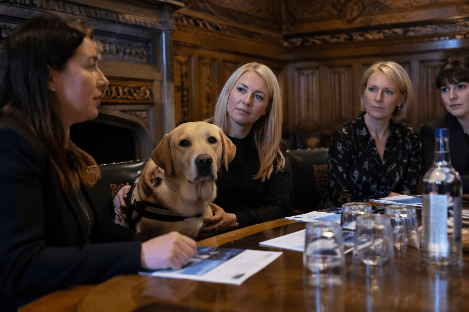 UK dog welfare groups push Holly’s Law in Parliament meeting