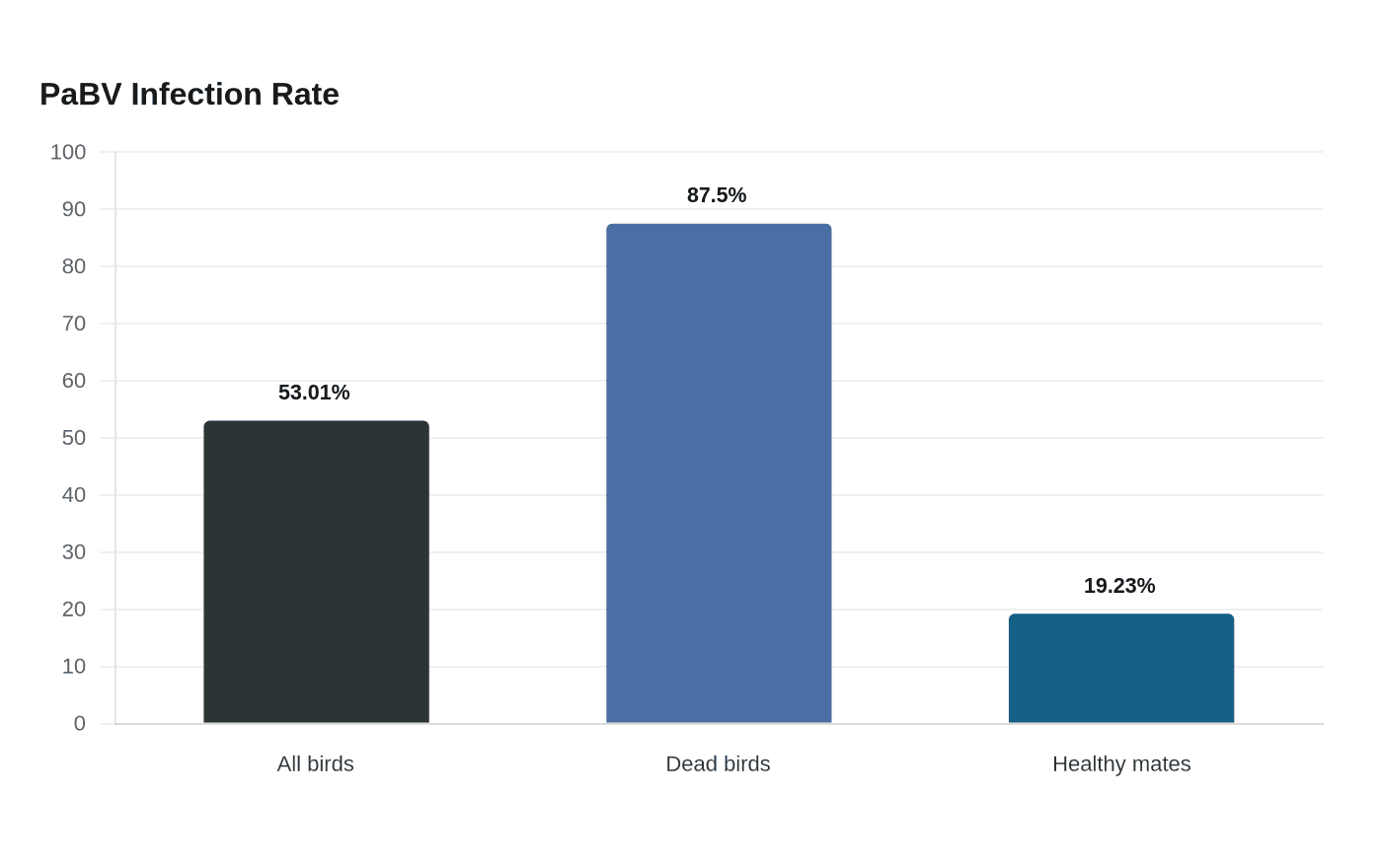 PaBV Infection Rate
