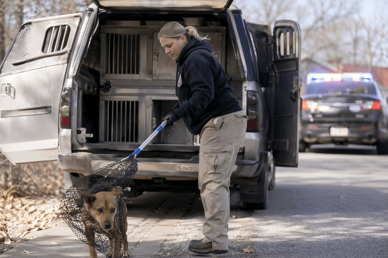 Logan County Humane Society handles stray and dangerous animal calls