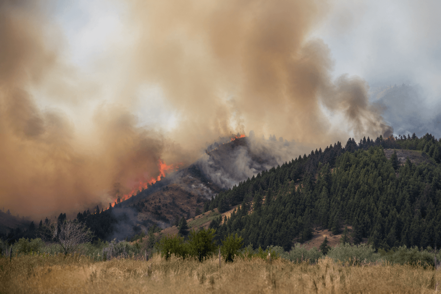 New wildfire near Lincoln grows to 2.6 acres, remains active