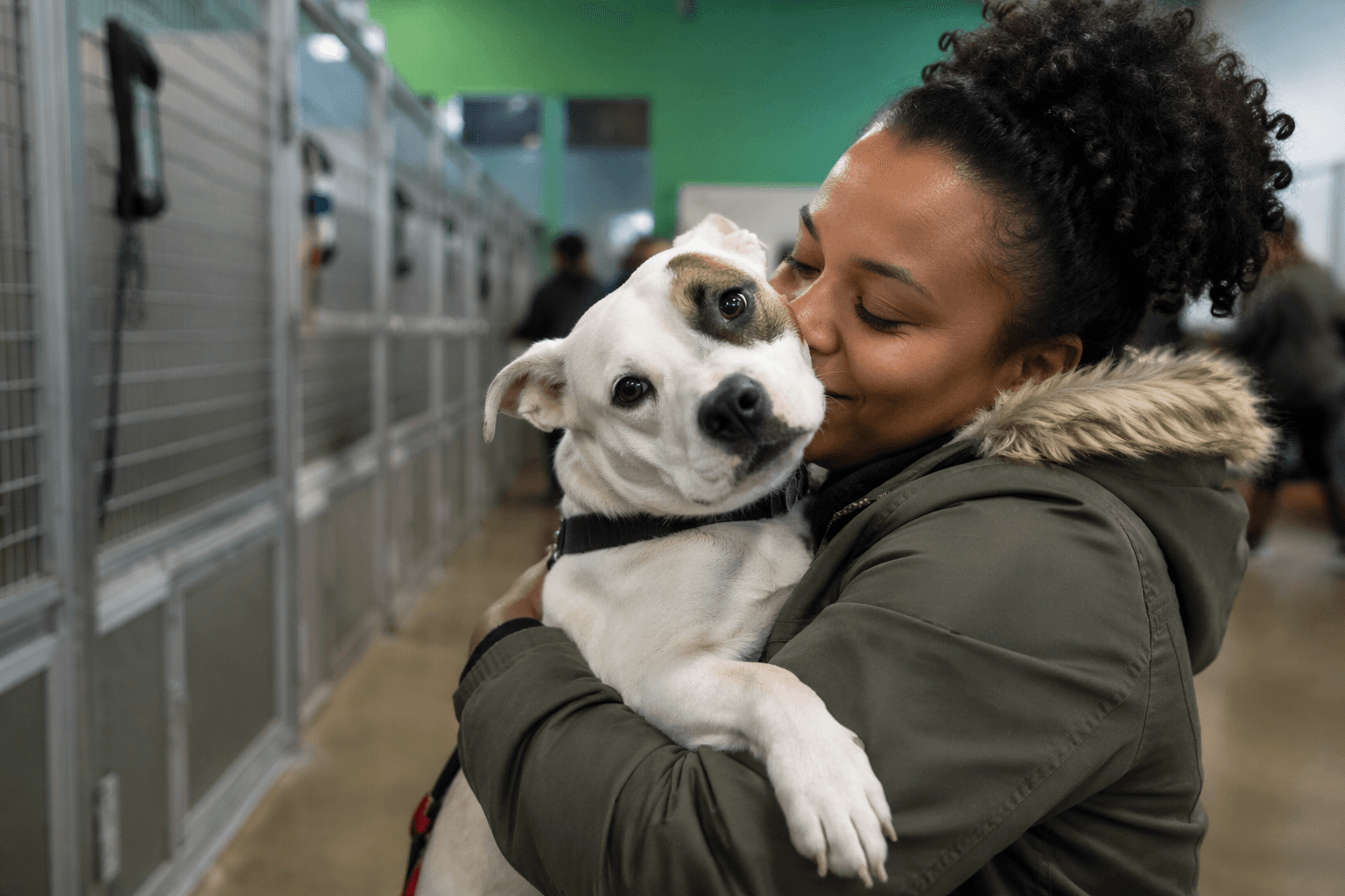 BARCS holds free adoption event to ease overcrowding in Baltimore City