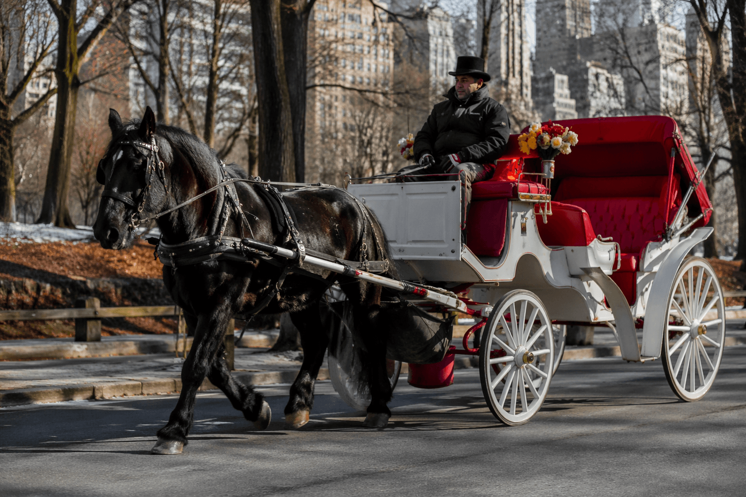 City Council speaker backs Central Park horse-carriage ban after fatal crash