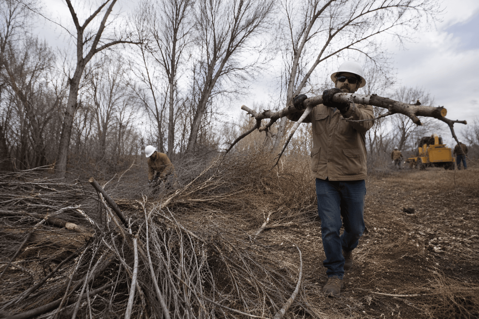 Agencies clear debris from Rio Grande bosque to reduce wildfire risk