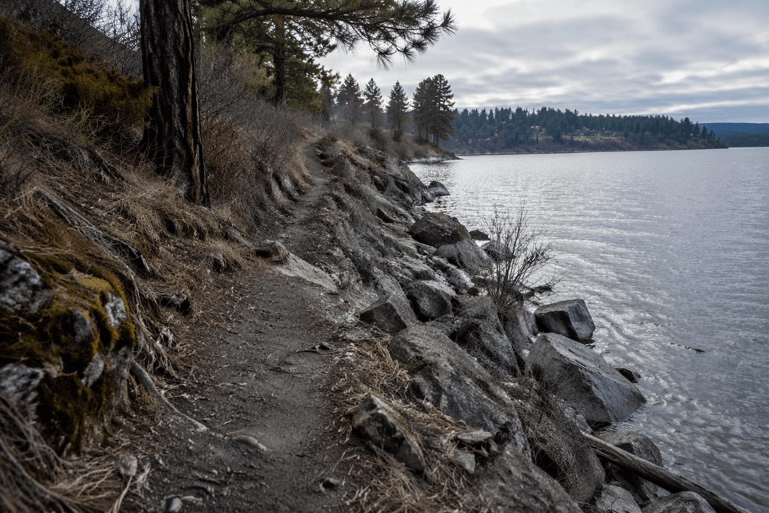 Post Falls urges visitors to stay on marked trails at Black Bay Park
