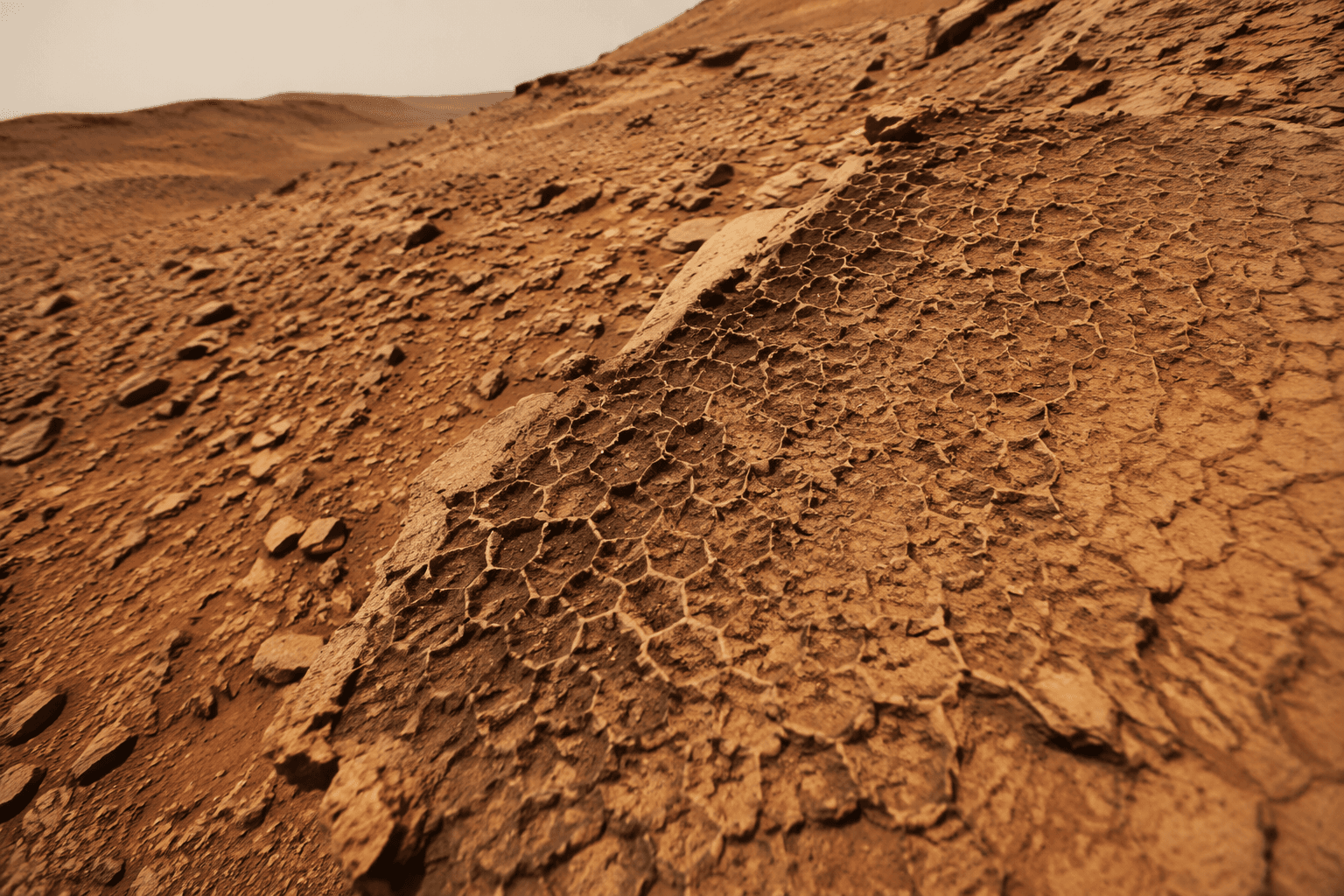 Curiosity rover spots mysterious honeycomb-like rock pattern on Mars