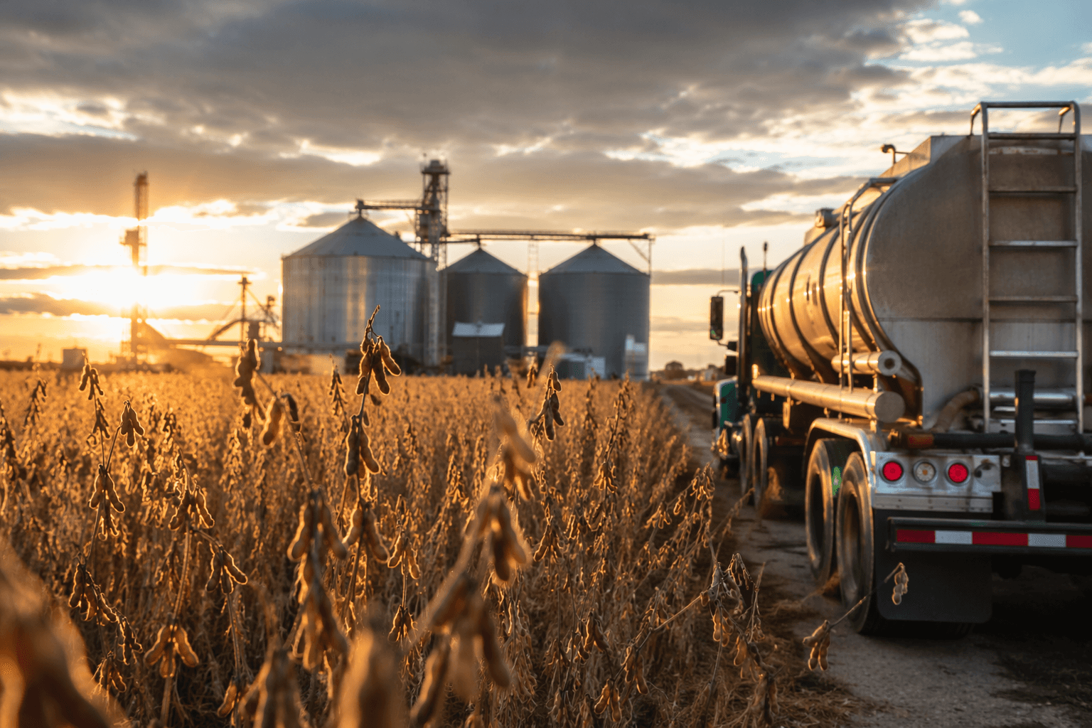 EIA explains biodiesel, renewable diesel, and feedstock competition