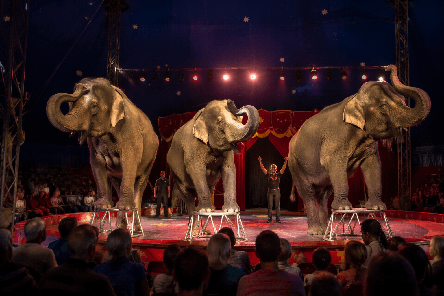 Circus coming to Buena Vista County Fairgrounds in Alta