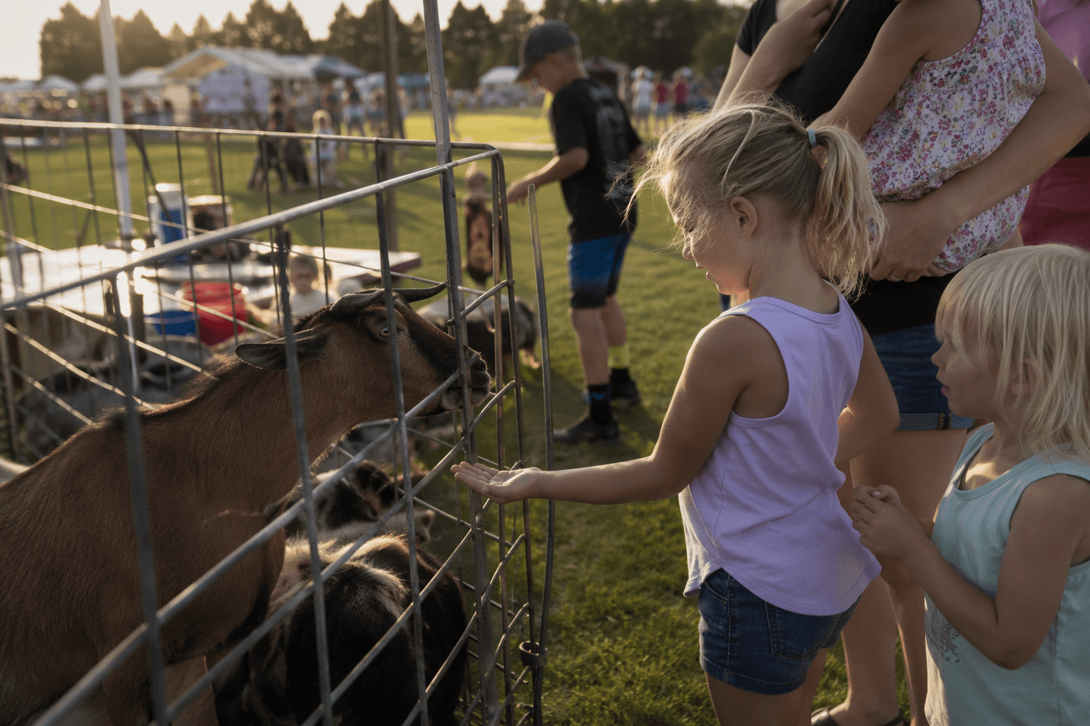 James River Senior Center hosts community carnival at fairgrounds
