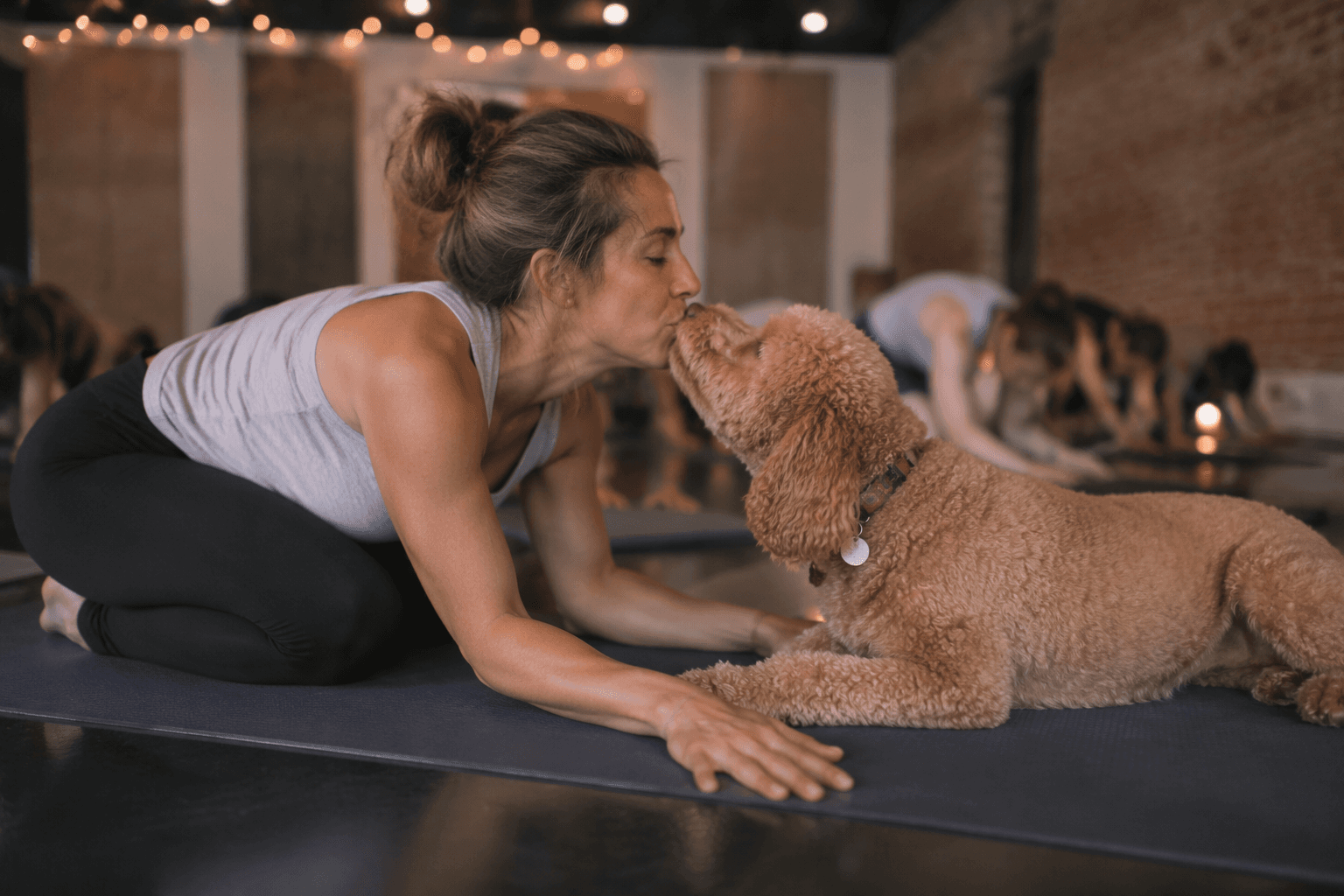 Dog yoga helps people and pets unwind together