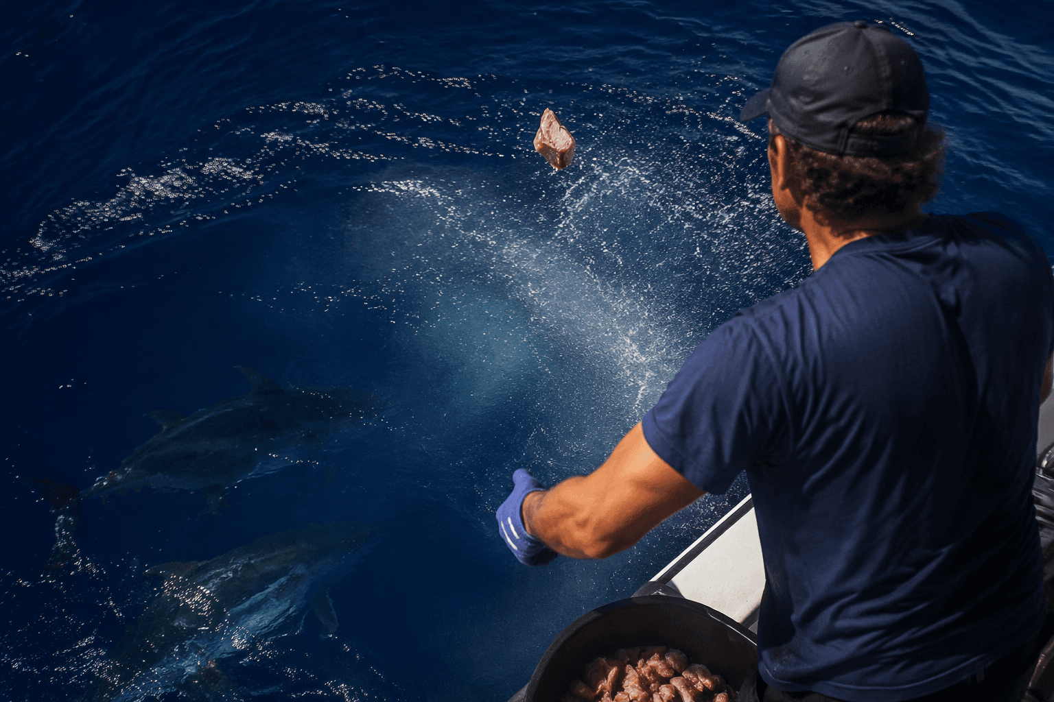 Chunking turns tuna fishing into a controlled feeding trail