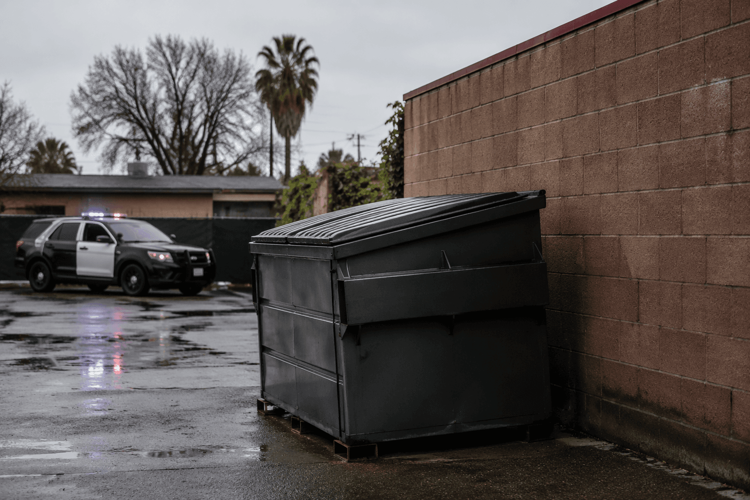 Fresno police investigate woman found dead in north Fresno dumpster