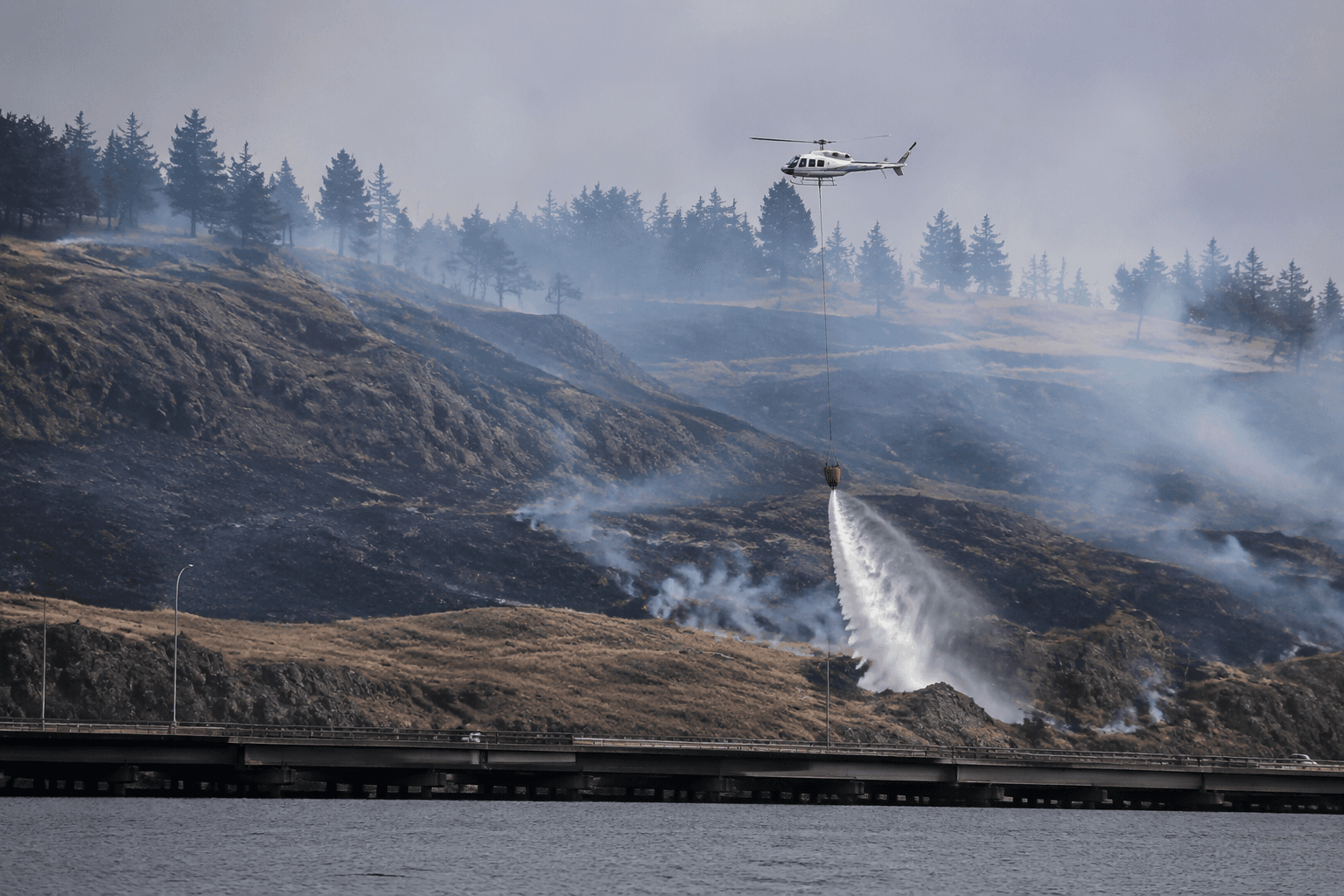 Crews quickly contain new brush fire near New Bridge
