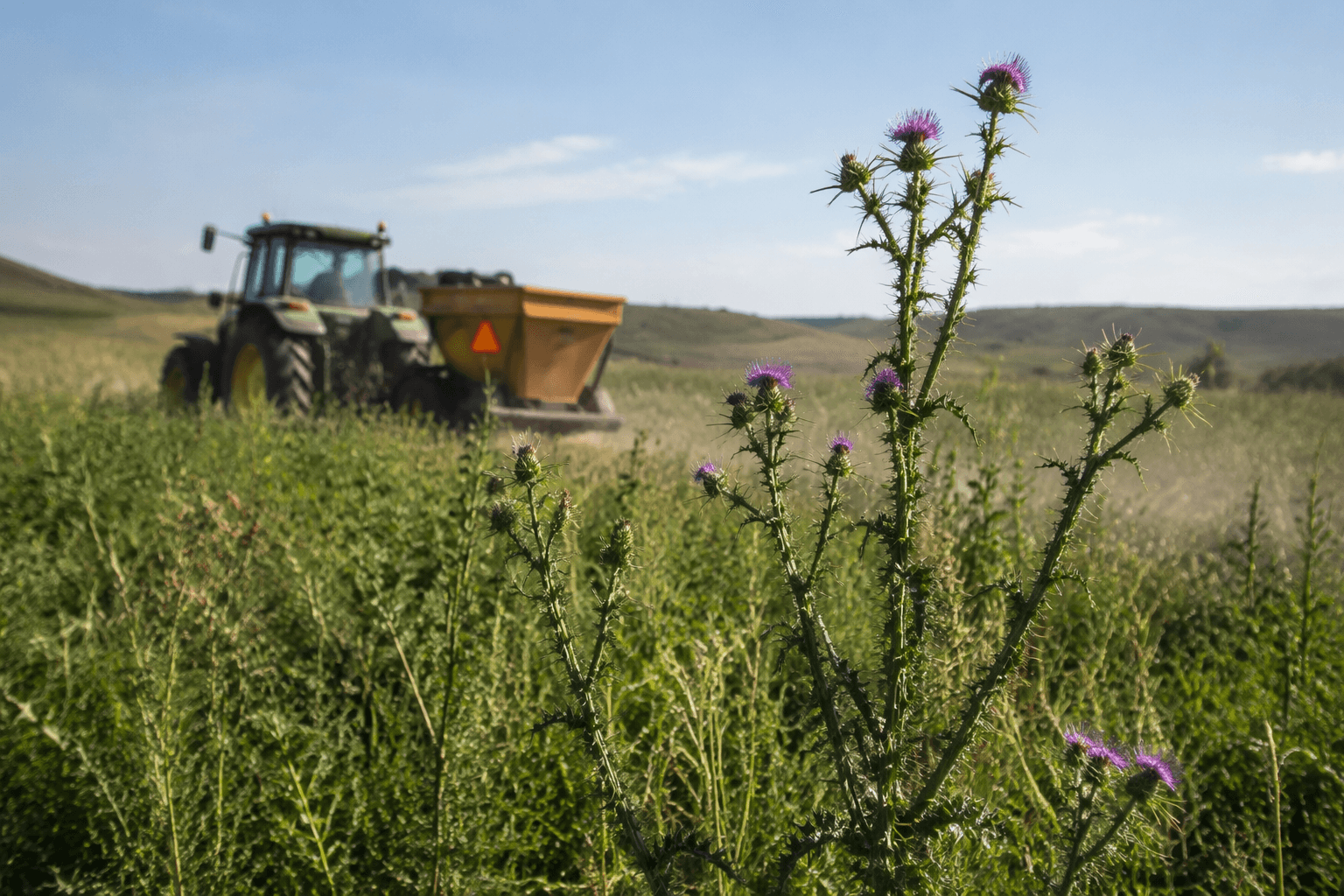 Logan County pest control district targets early noxious weed detection