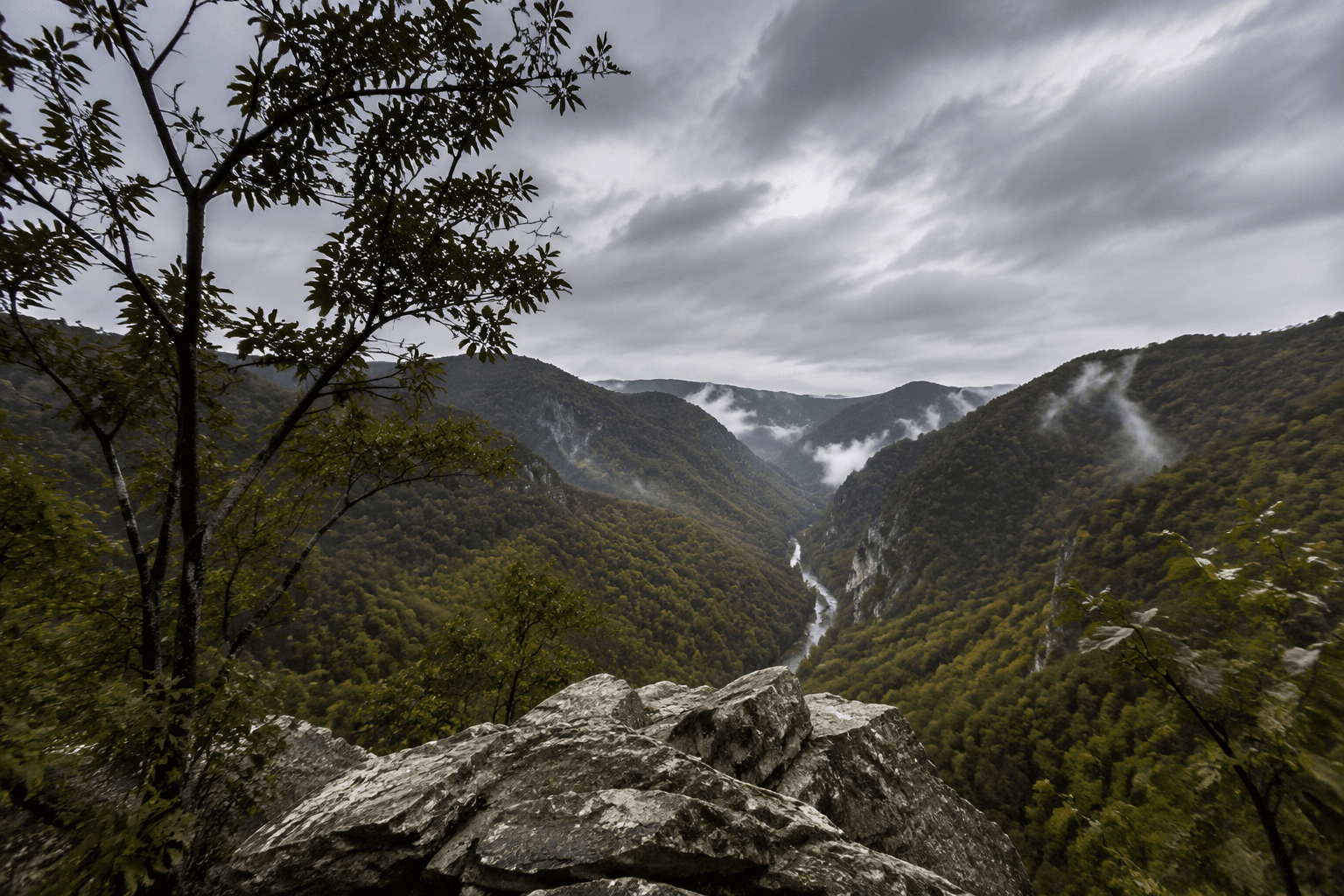 Panther Wildlife Management Area maps McDowell County’s rugged backcountry