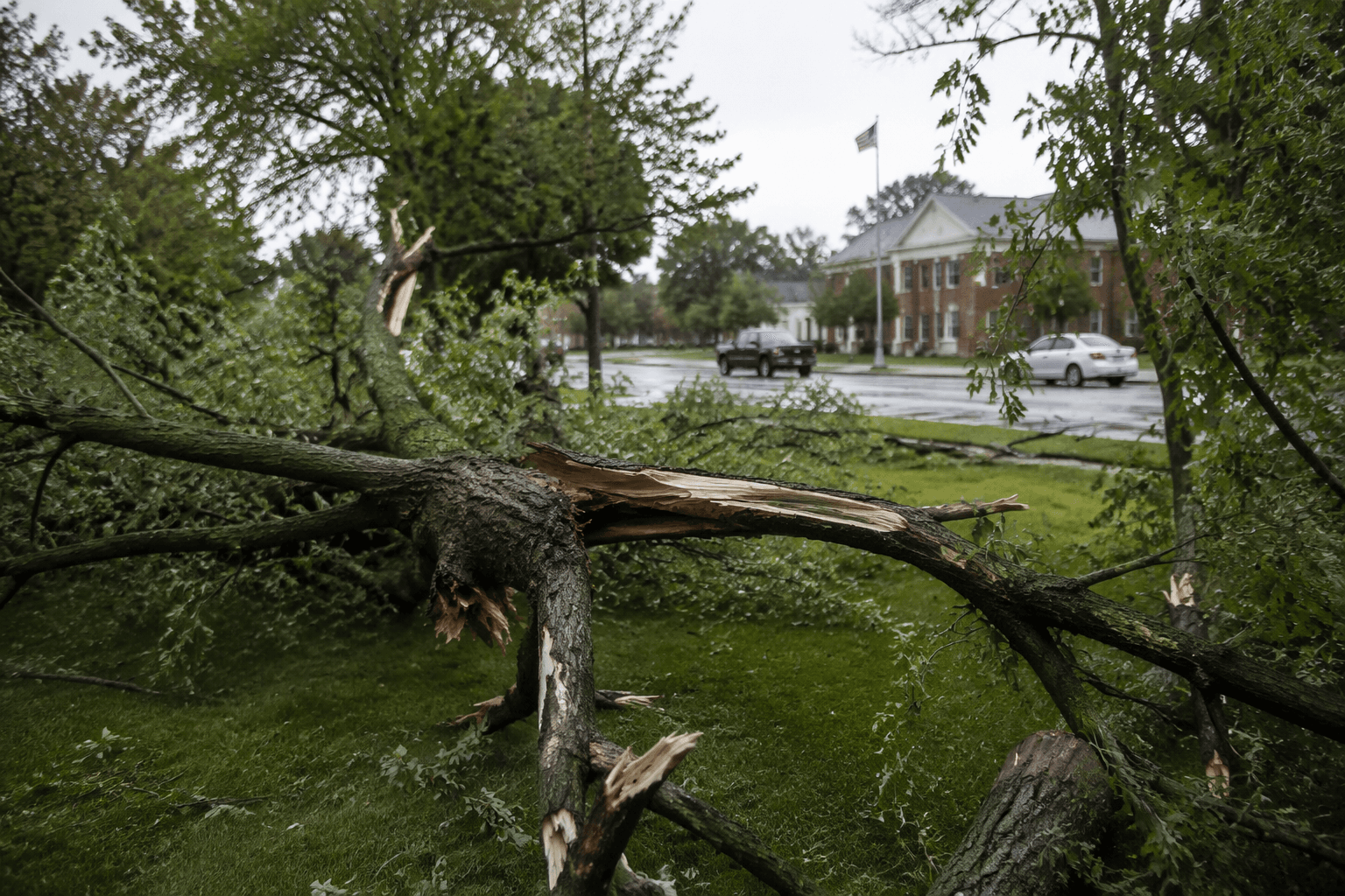 Albany County asks residents to report wind damage after storm