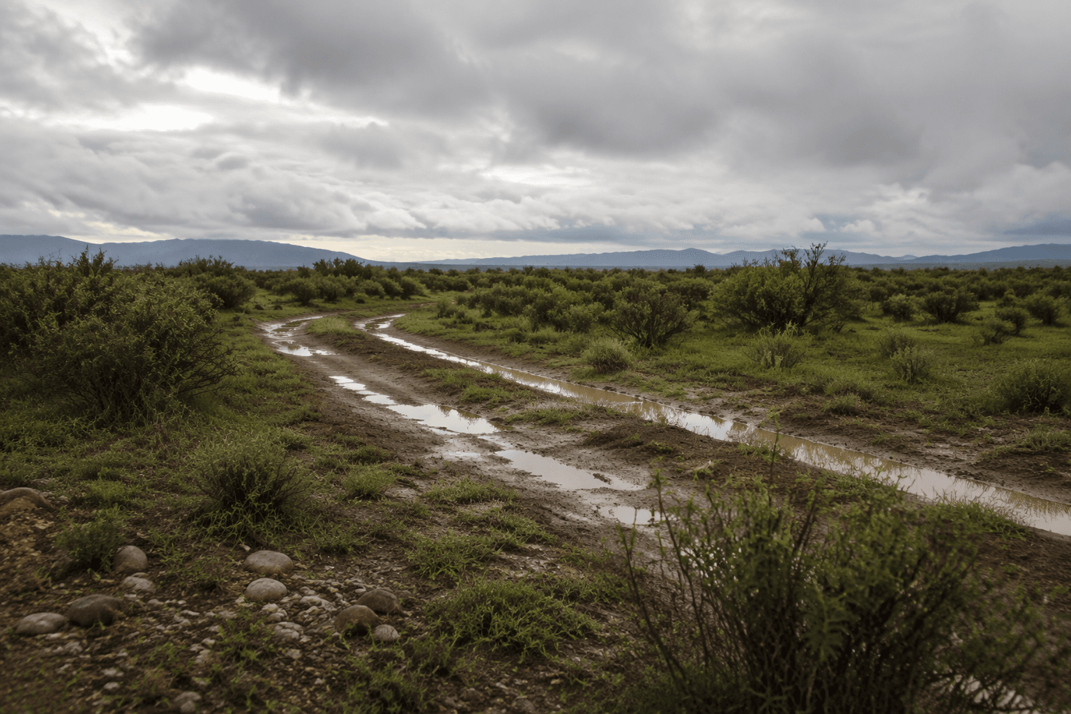 Monsoon rains lift fire restrictions on State Trust lands in Yuma County