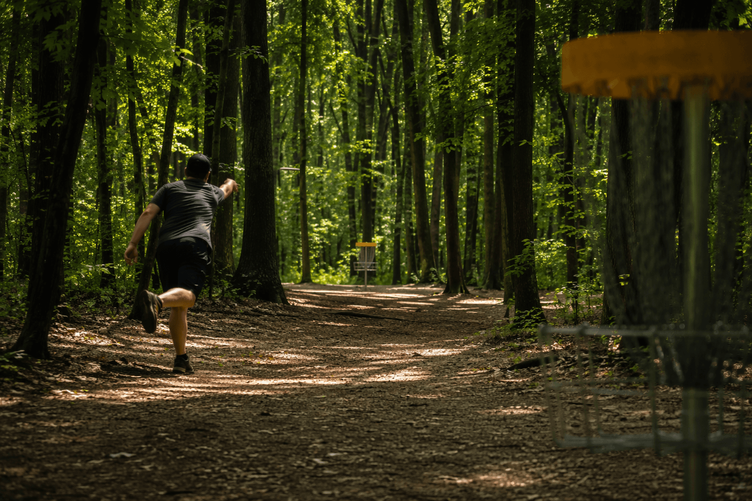 Linden County Park adds new 18-hole disc golf course, kids layout