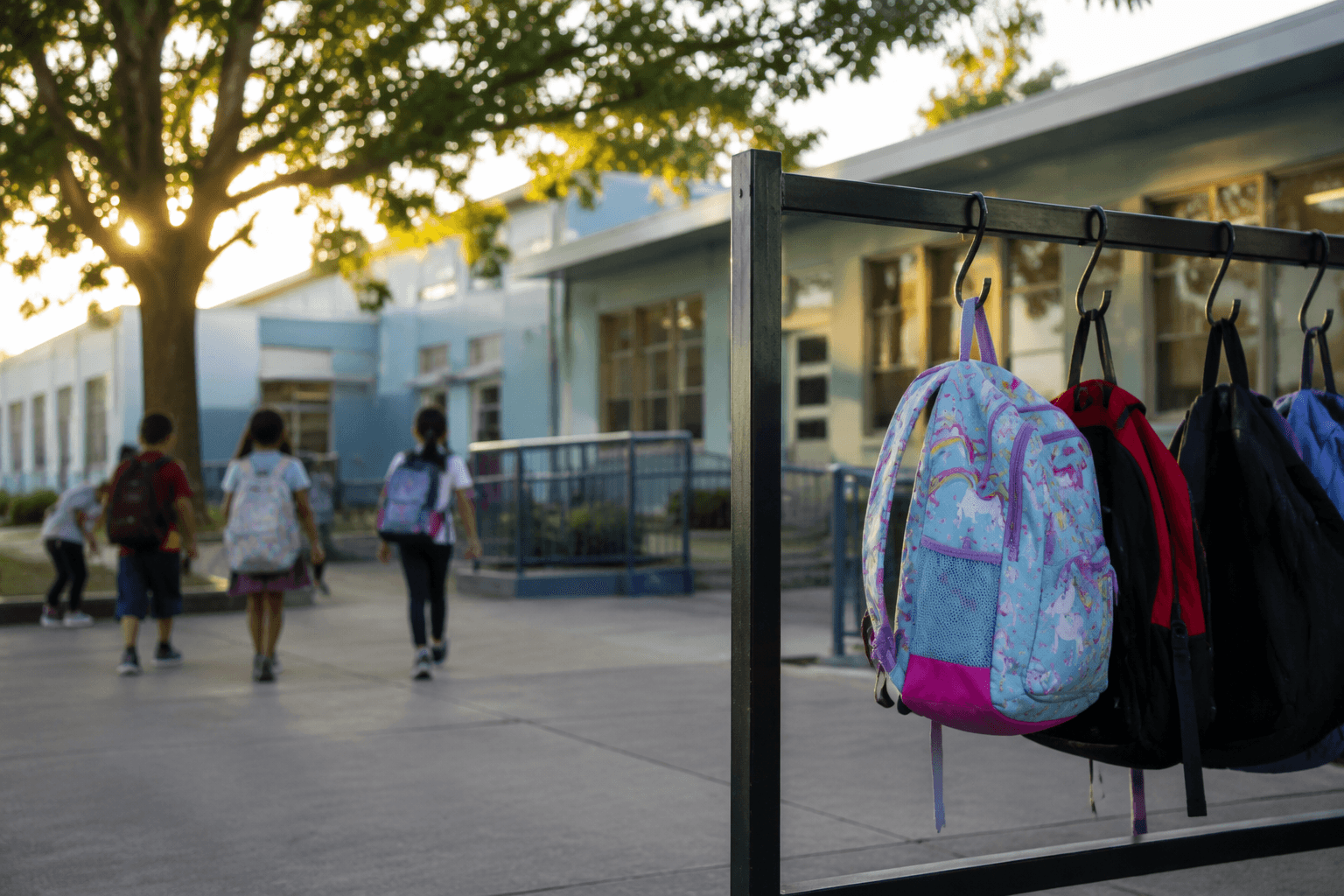 San Diego ISD reaches 82% of enrollment goal before school starts