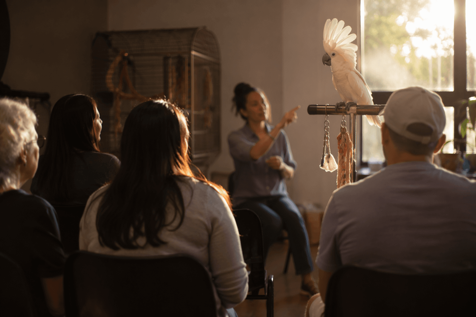 Avian Center offers personalized parrot behavior and training consultations