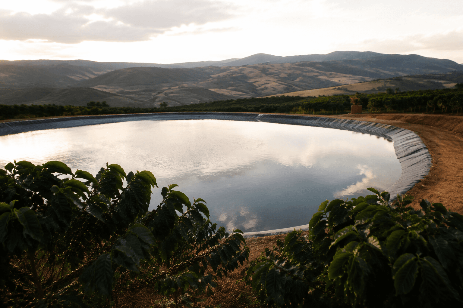 Minas Gerais reservoir aims to shield Brazil coffee from drought