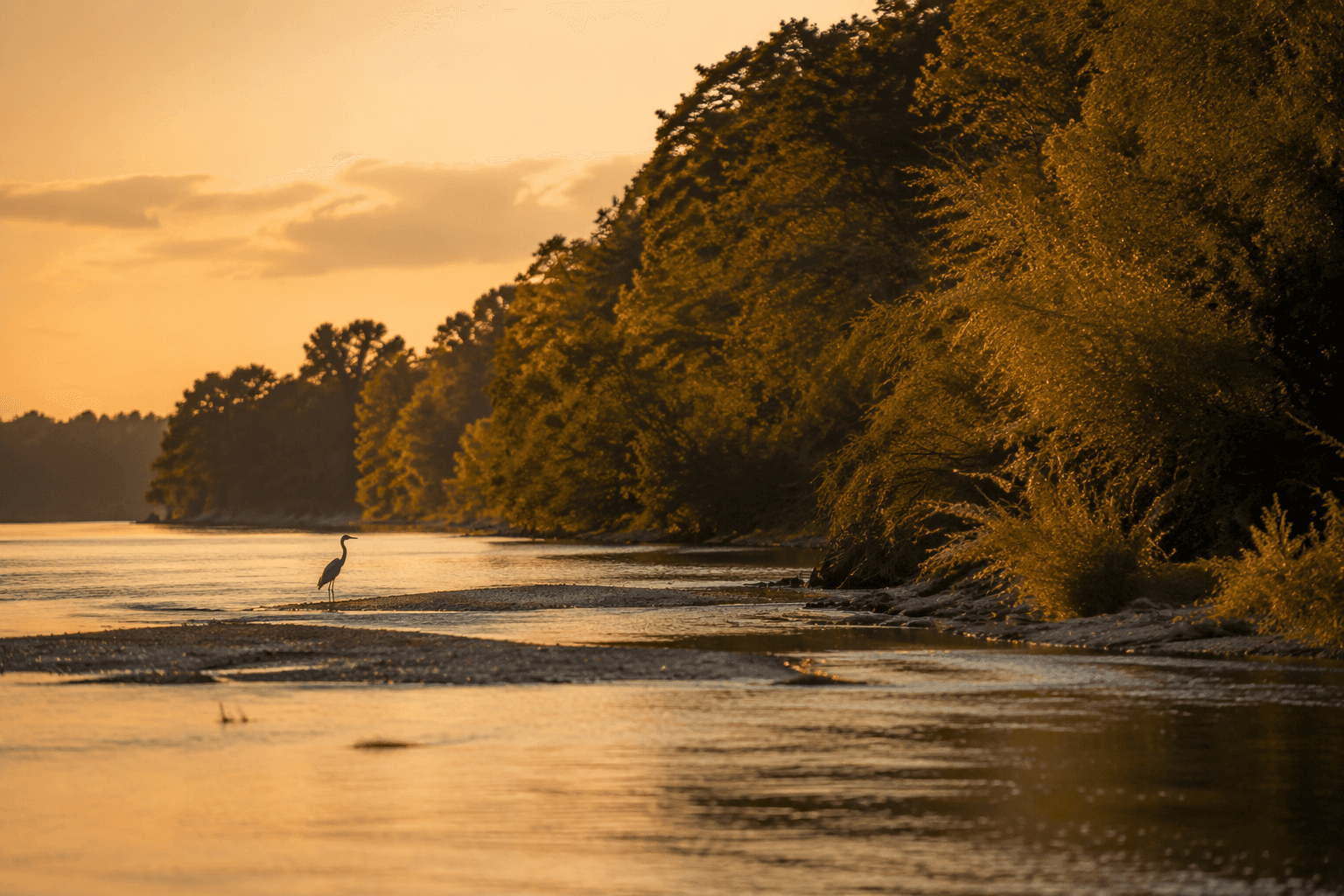 Jones Bluff Park offers prime birding along the Alabama River