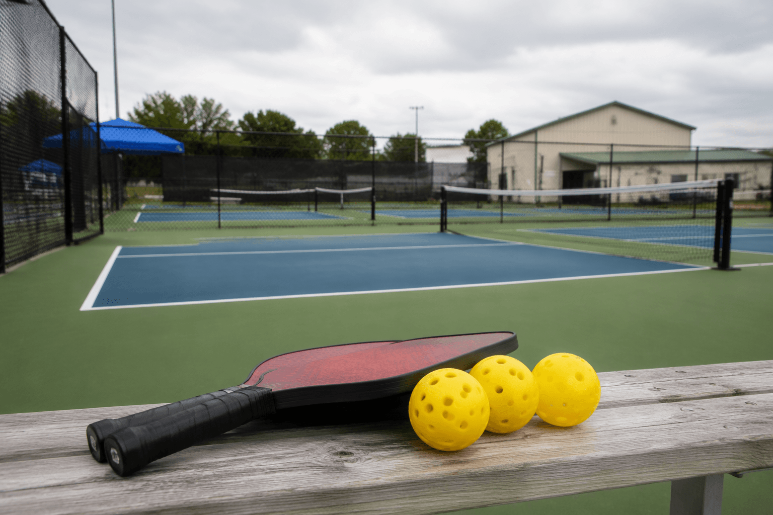 Adams County seniors celebrate fair event, plan pickleball court opening