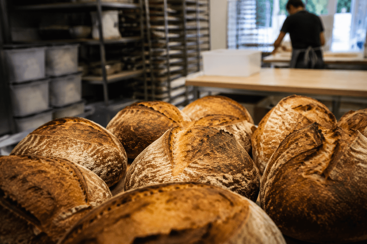 Wild Yeast Bakehouse opens Wayne sourdough bakery after home start