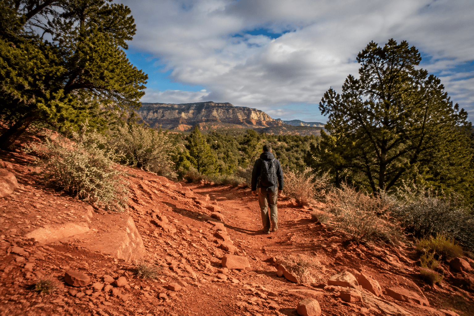 McKinley County highlights 100 miles of trails in the Zuni Mountains