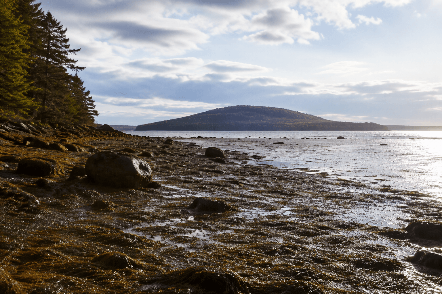 Bates-Morse Mountain access depends on tides, parking limits in Phippsburg
