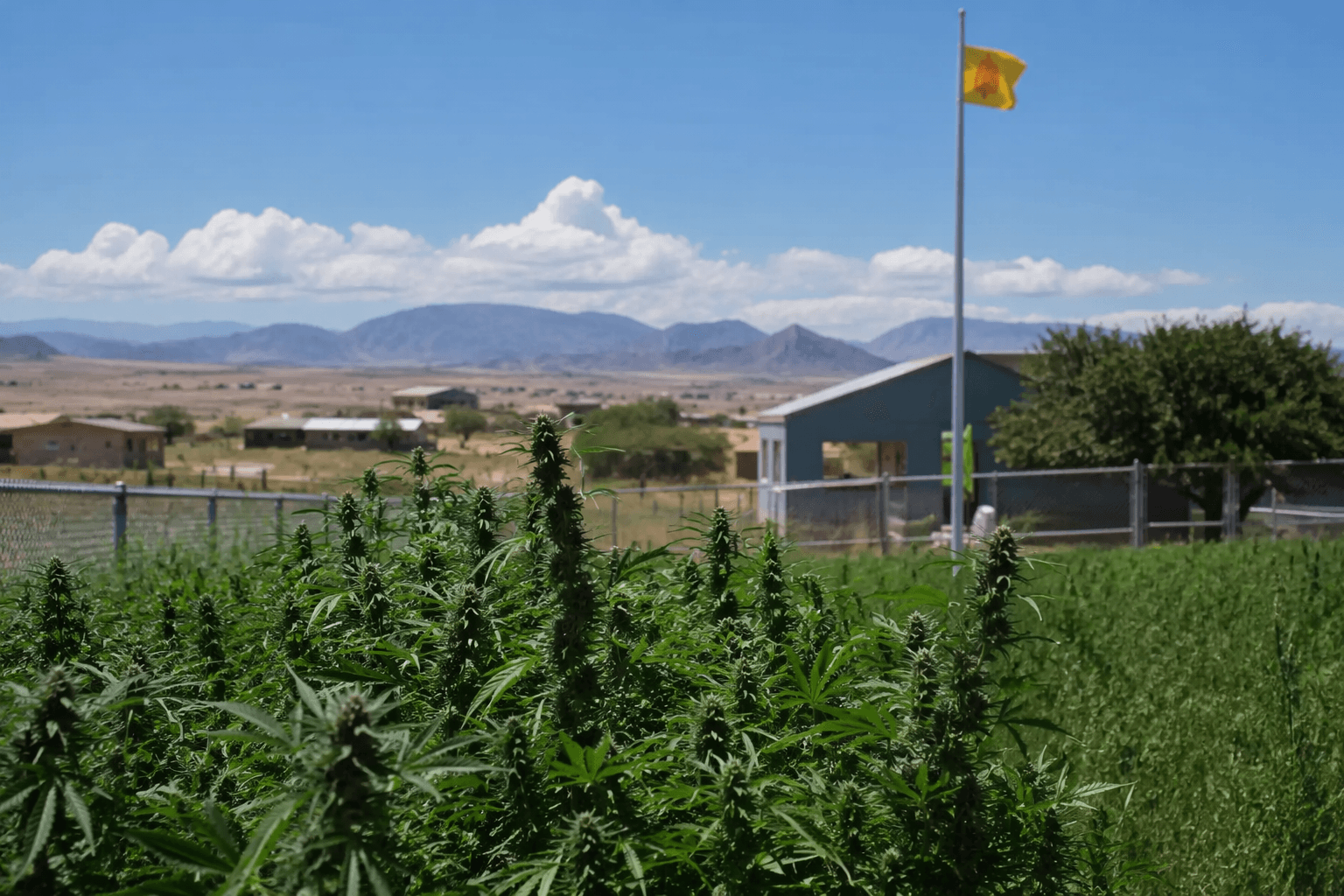 Valencia County ordinance library covers cannabis, animal control, fireworks, land use