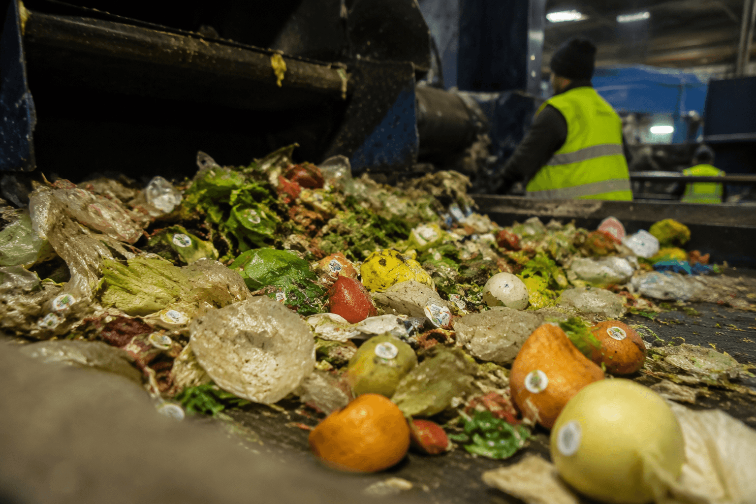 Tiny produce stickers create big recycling problems in Summit County