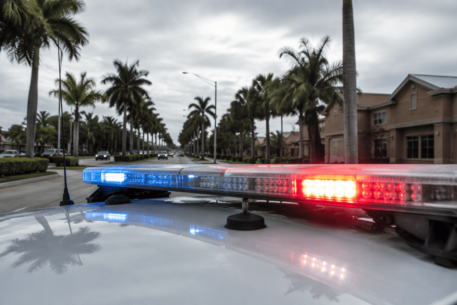 Hollywood police search for family of nonverbal boy found wandering