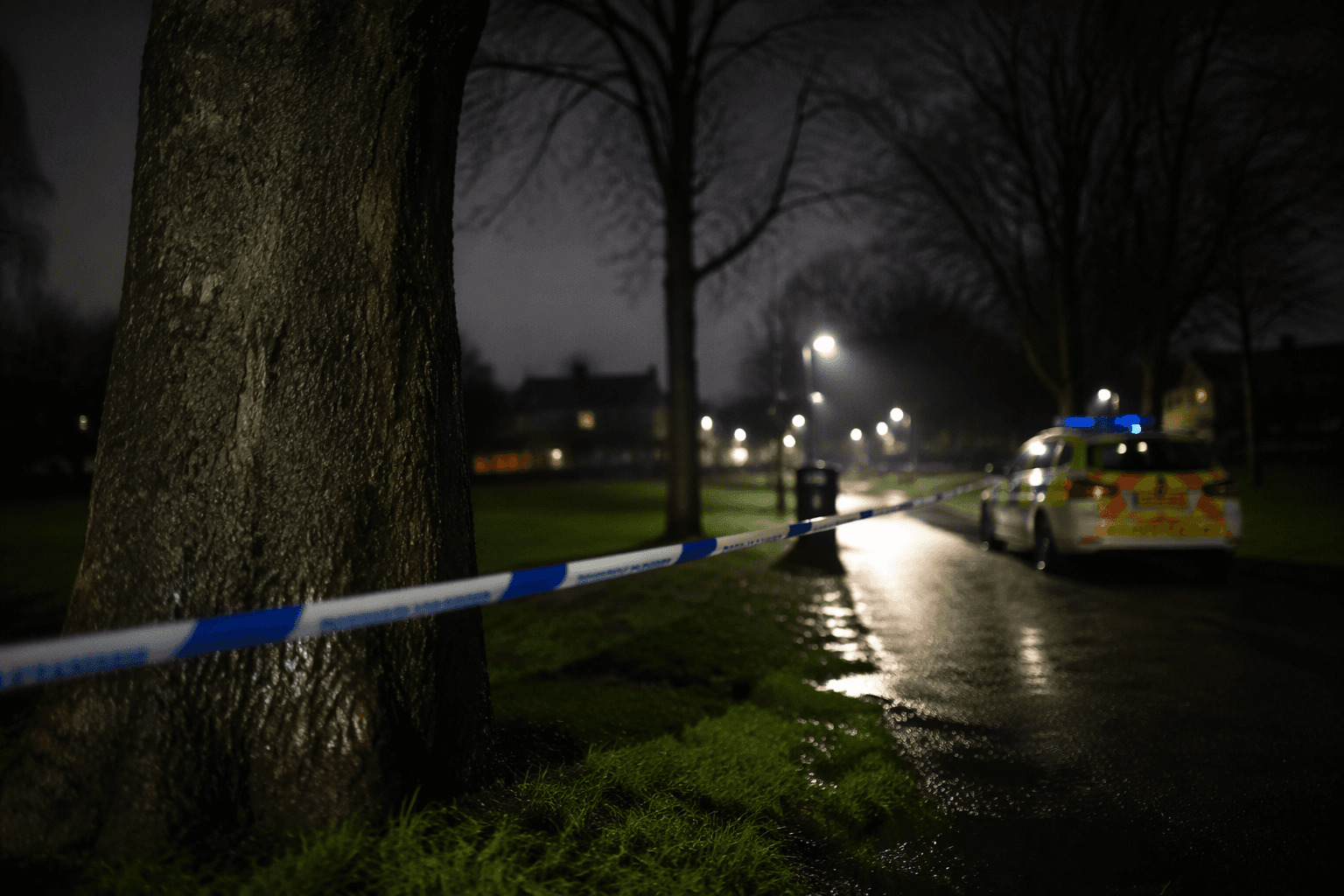 Teenage boy charged with murder after fatal stabbing in Luton park