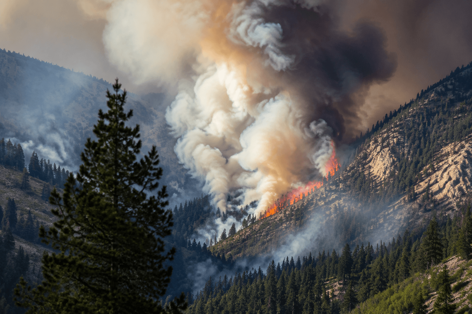 Four new wildfire starts trigger alerts across Colorado backcountry