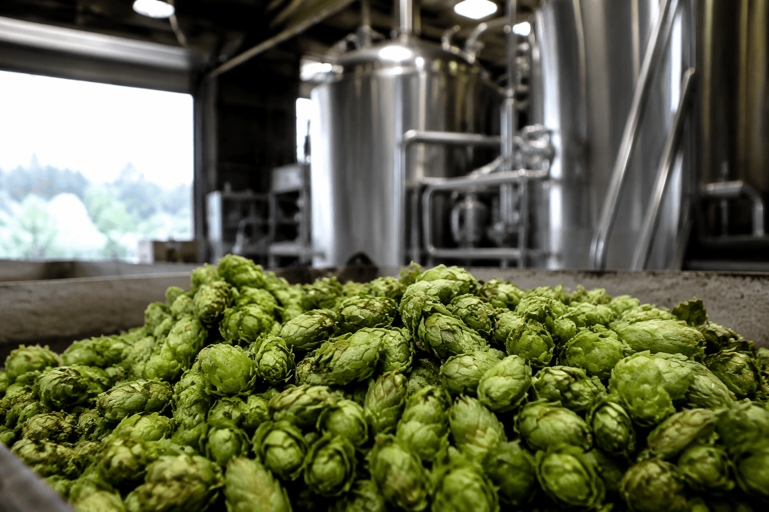 Chuckanut Brewery launches hop-forward West Coast IPA with Northwest hops