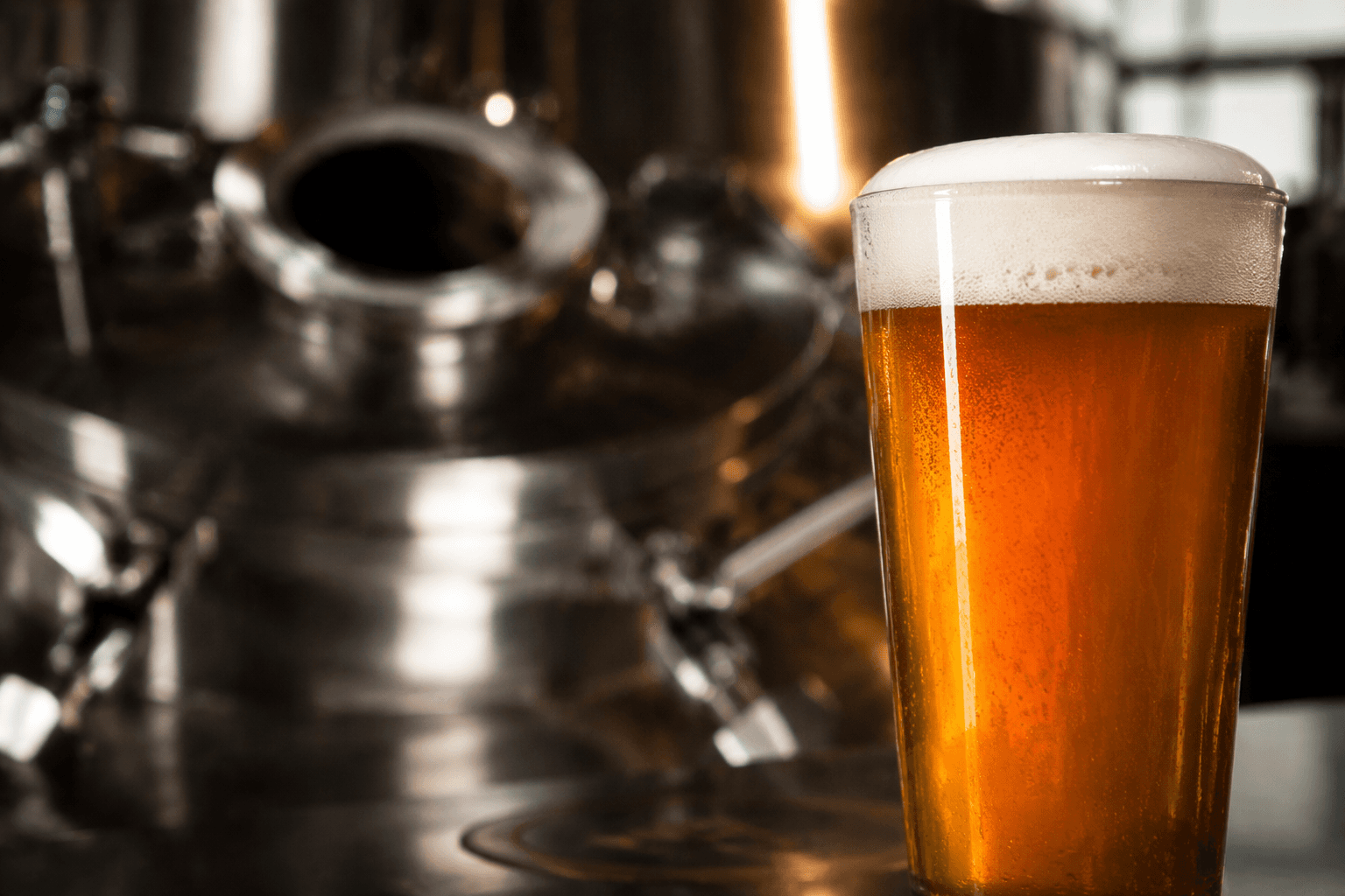 2026 National Homebrew Competition crowns medal winners, HomeBrewers of the Year