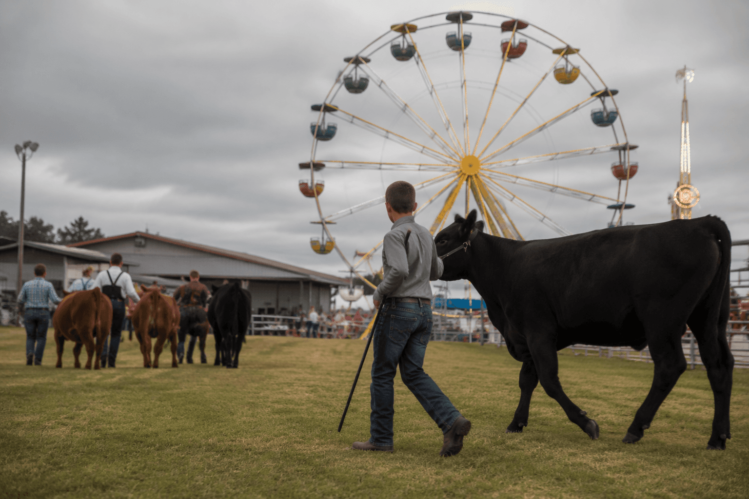 Ferndale's Humboldt County Fair returns August 12-16 with classic attractions