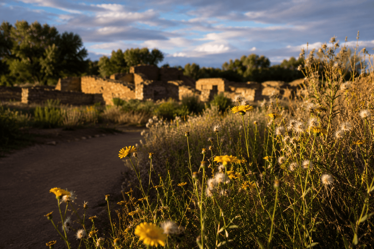 Aztec Ruins plant guides turn the monument into a living classroom