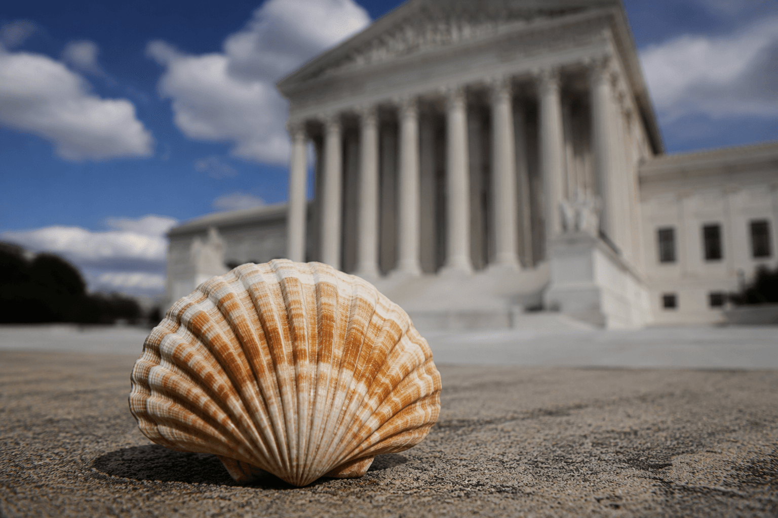 Comey asks judge to dismiss Trump threat charges over seashell post