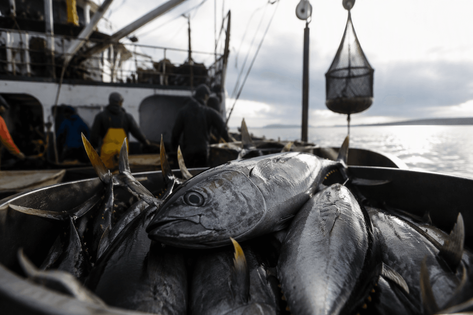 Consumers sue Amazon over alleged seafood sustainability greenwashing