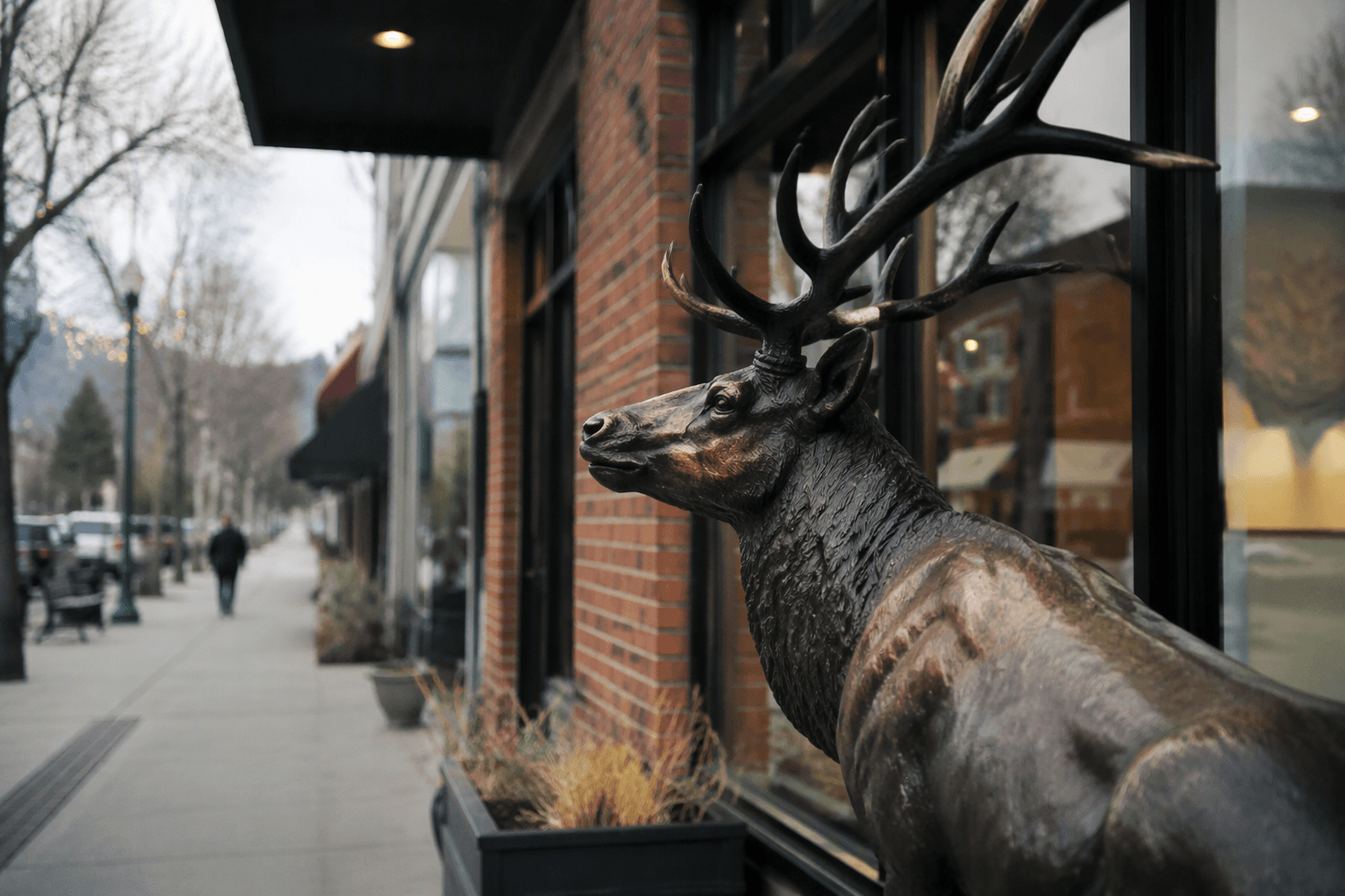 Bull elk sculpture sparks new bronze partnership on Sherman Avenue