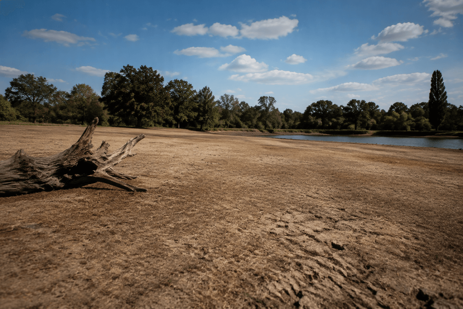 Wisley records 50 days without rain as UK drought worsens
